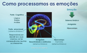 COMO CONTROLAR UMA CRISE DE ANSIEDADE